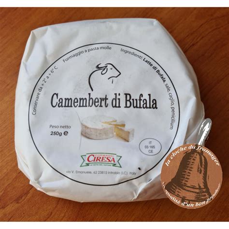 cgamebet|camembert di bufala.